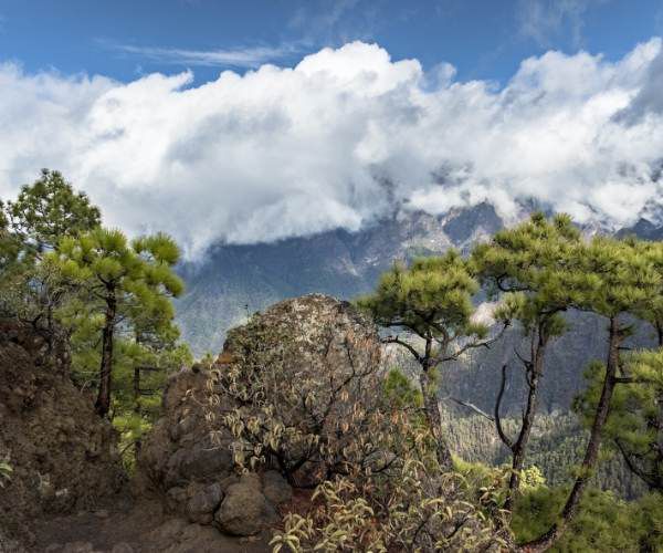 Cumbrecita in La Palma