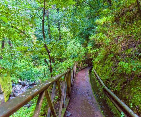 Hiking Network in La Palma