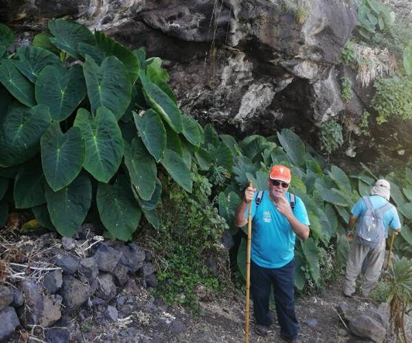 Hiking Trails on the island of La Palma