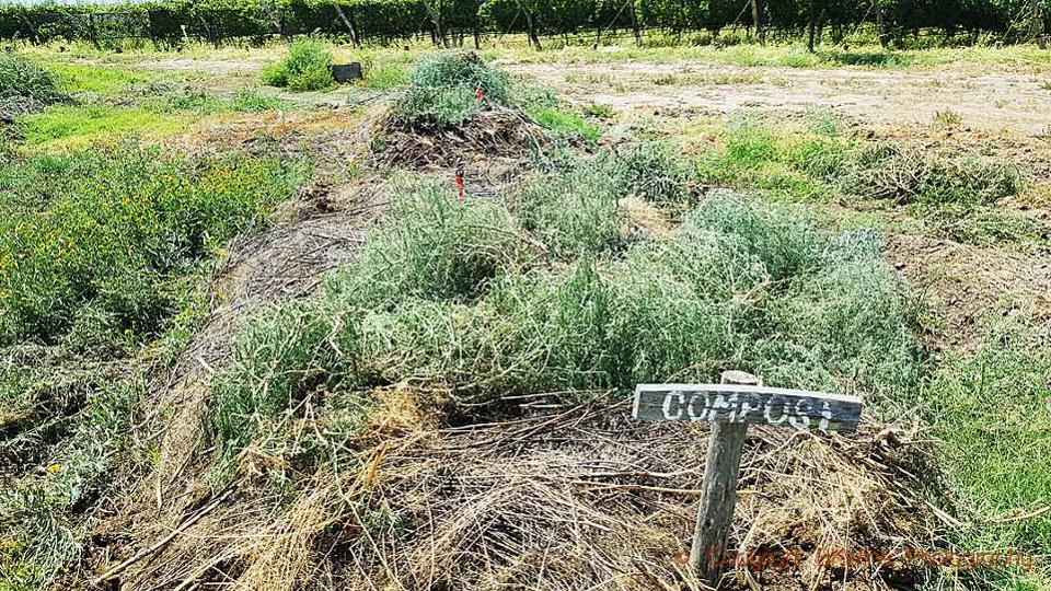 The compost is an important part of biodynamic wine making