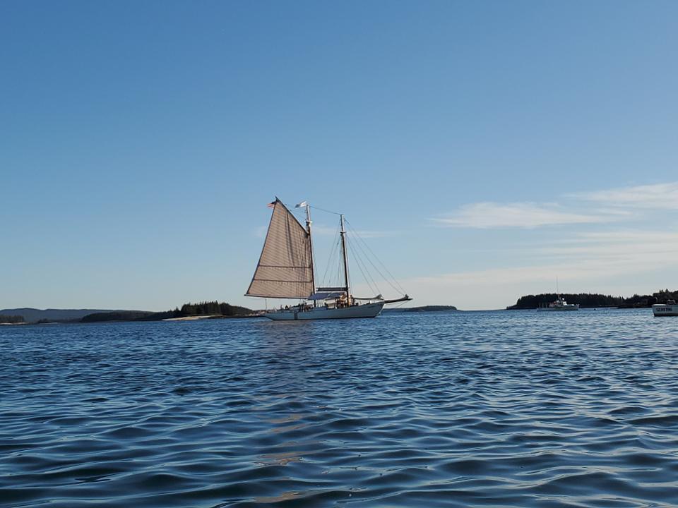 The Schooner Ladona sailing in Penobscot Bay, on the coast of Maine.