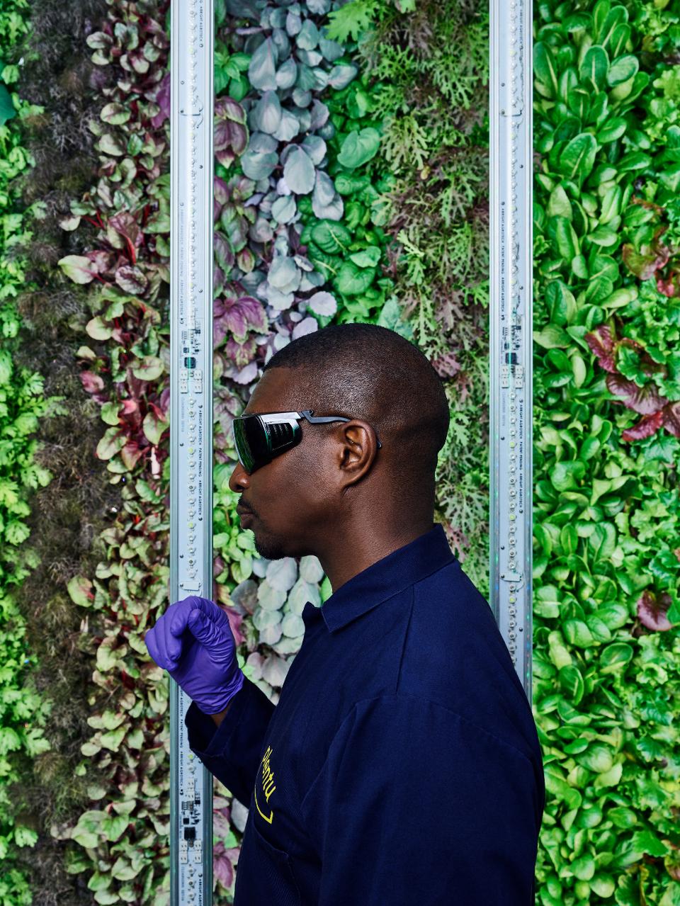 Indoor farming is putting the youth back in agriculture.