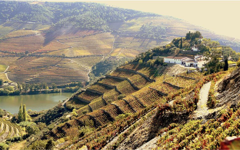 World’s Best Vineyards is an annual list of the top 50 wine-tourism experiences.