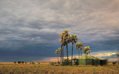 Jack’s Camp, Botswana, Africa