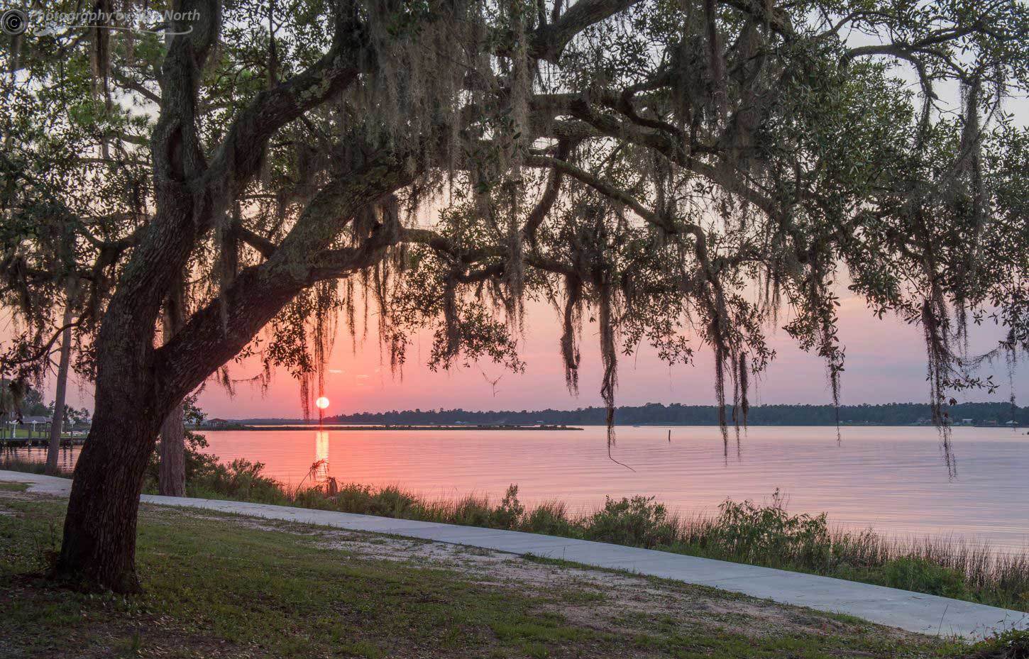 Ocean-Springs-Front-Beach-Sunset-Credit-Alex-North-Photography.jpg?mtime=20200721133303#asset:108707