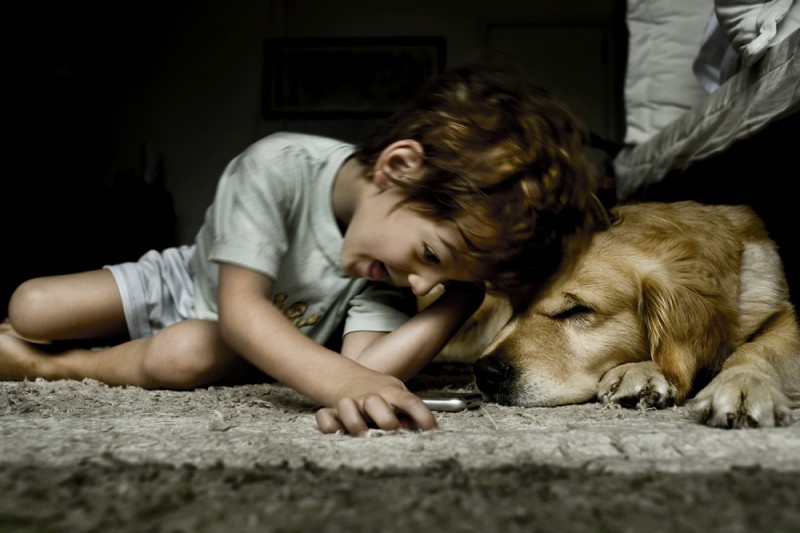 Boy Playing with Dog