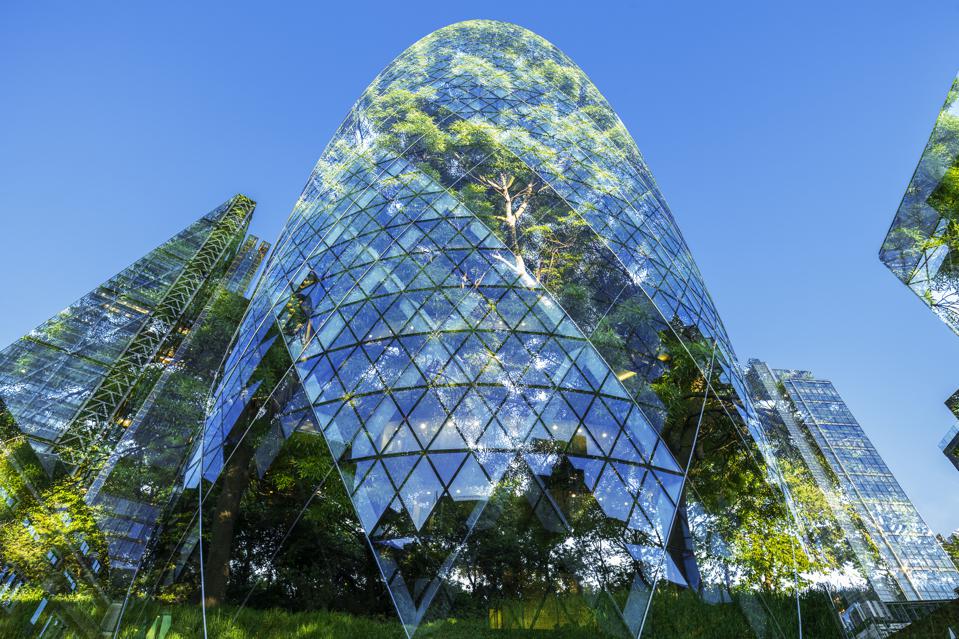 Abstract of city skyscrapers and green foliage