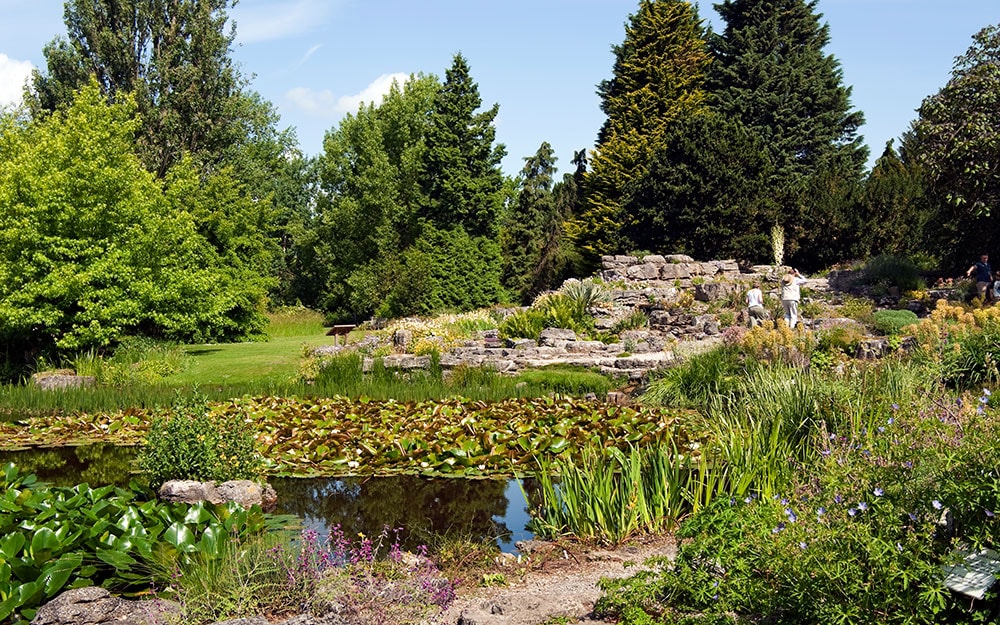 Cambridge University Botanic Garden