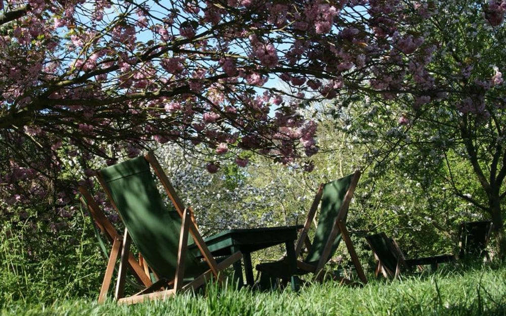 The Orchard Tea Garden, Cambridge