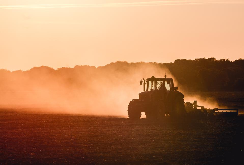 Tractor working in a field at dusk.