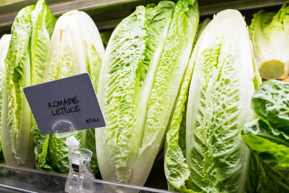 CDC E coli O157:H7 outbreak romaine lettuce