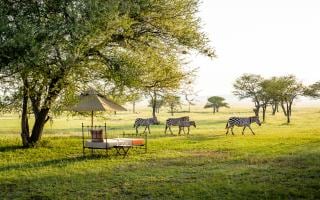 Sabora Tented Camp, Serengeti, Tanzania